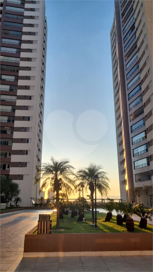 Foto REO1069596