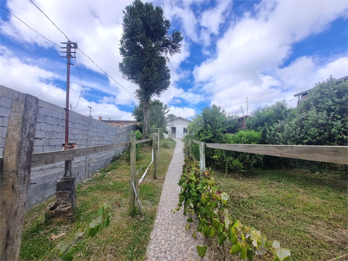 Foto REO1069603