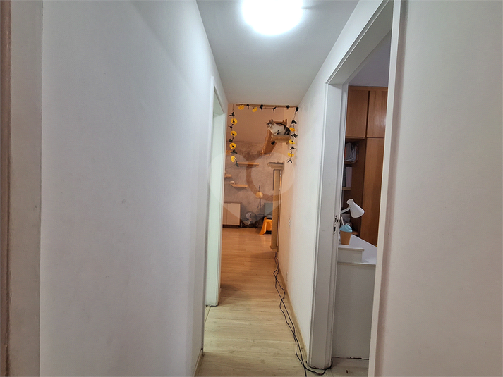 Foto REO1069608