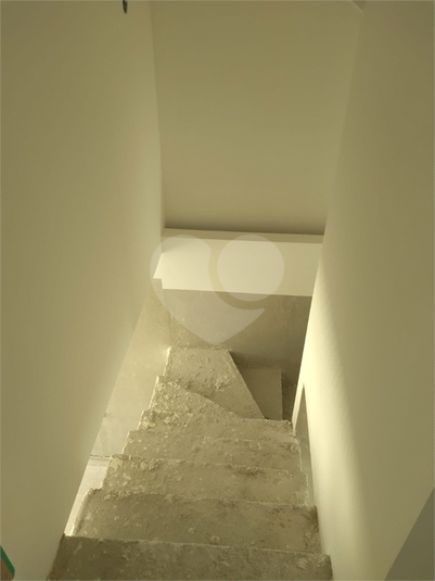 Foto REO1069634