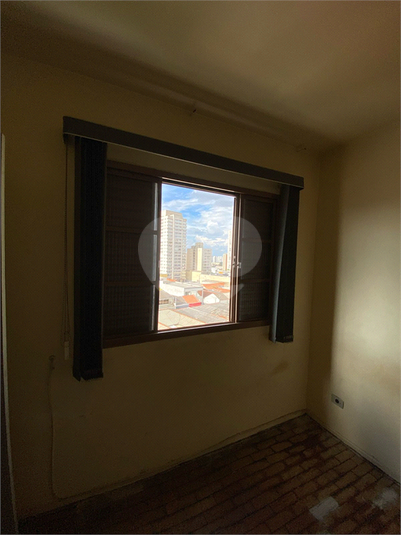 Foto REO1069641