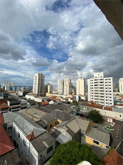 Foto REO1069641