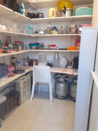 Foto REO1069653