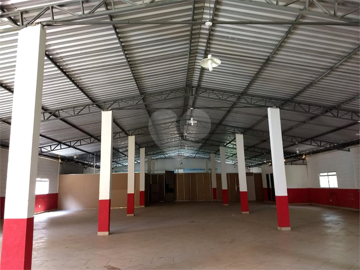 Foto REO1069659
