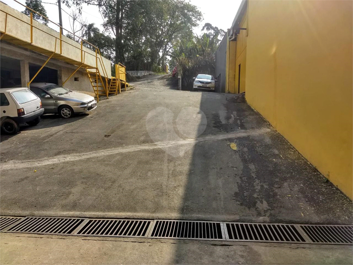 Foto REO1069659