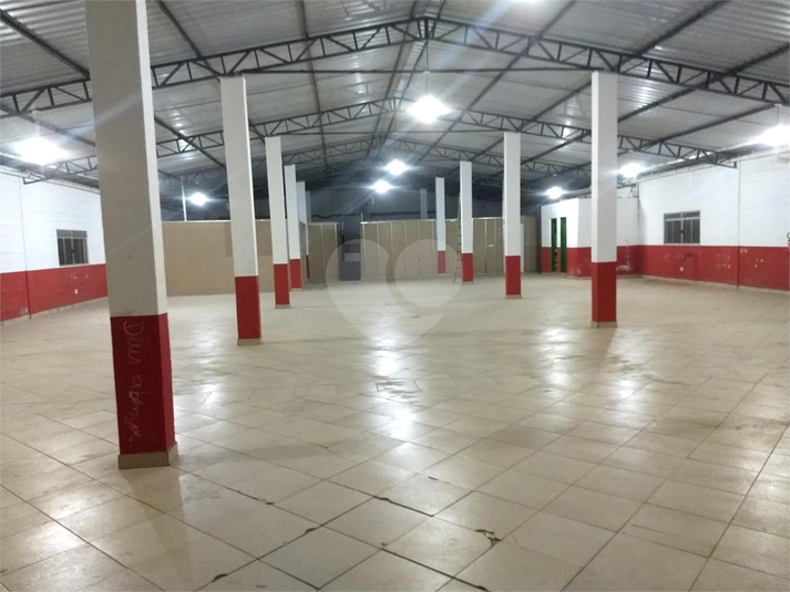 Foto REO1069659