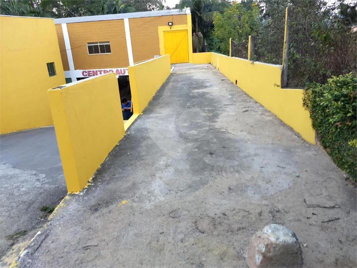 Foto REO1069659