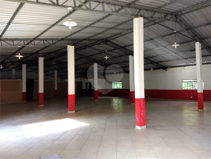 Foto REO1069659