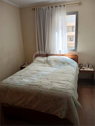 Foto REO1069662