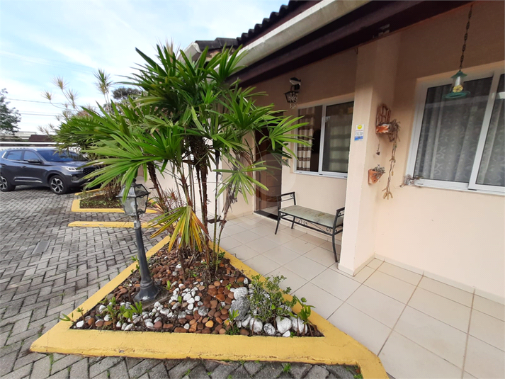 Foto REO1069664
