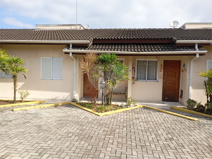 Foto REO1069664