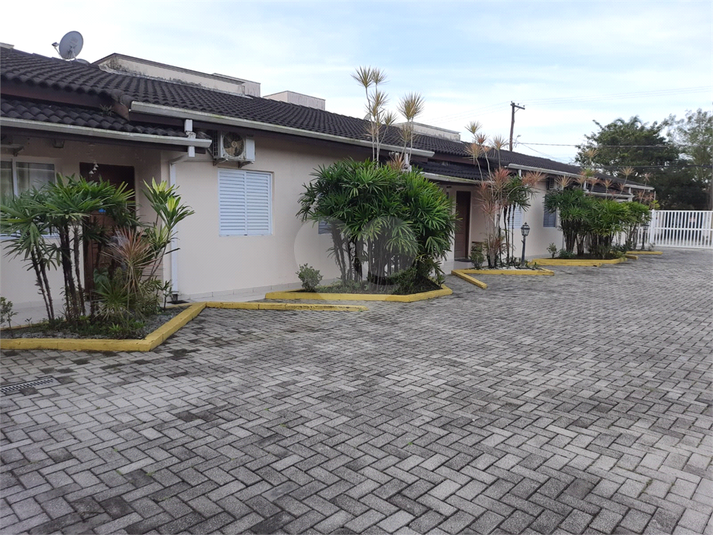 Foto REO1069664