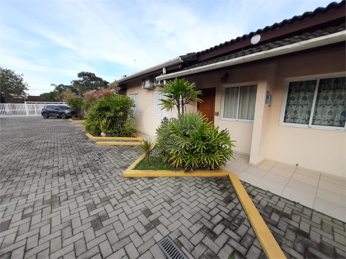 Foto REO1069664