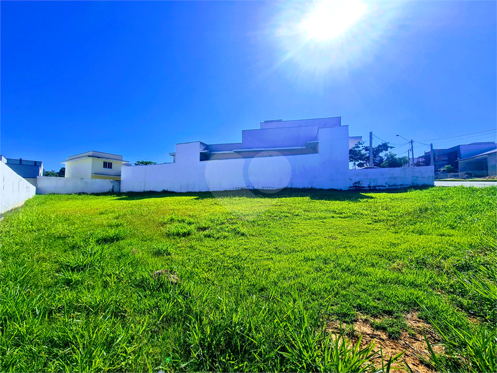 Foto REO1069665