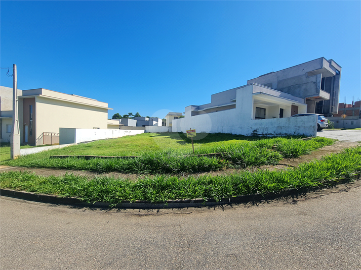 Foto REO1069665