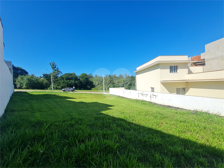 Foto REO1069665