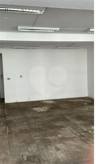 Foto REO1069676