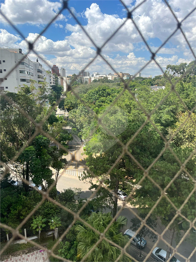 Foto REO1069693