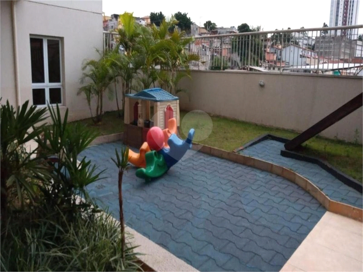 Foto REO1069699
