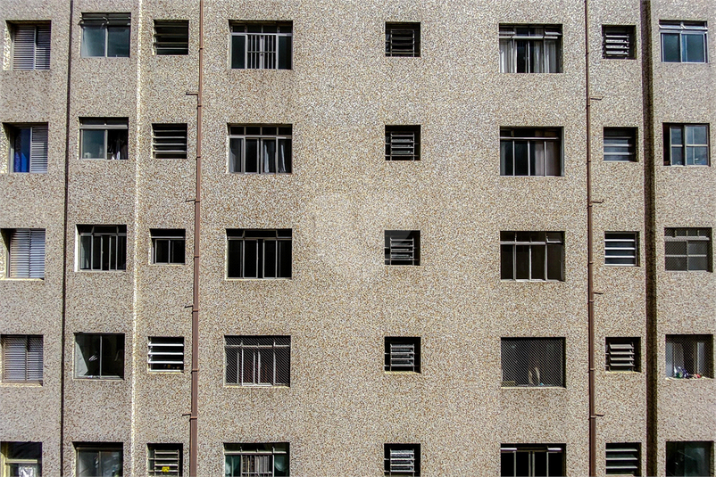 Foto REO1069729