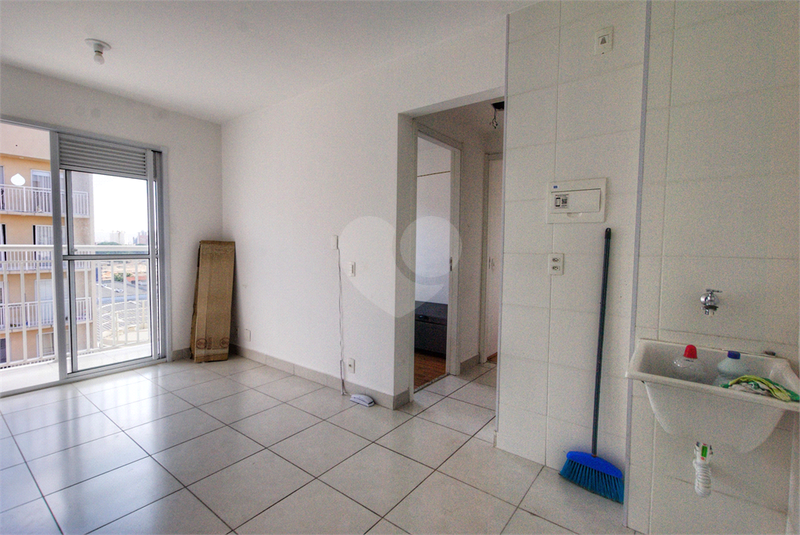 Foto REO1069734