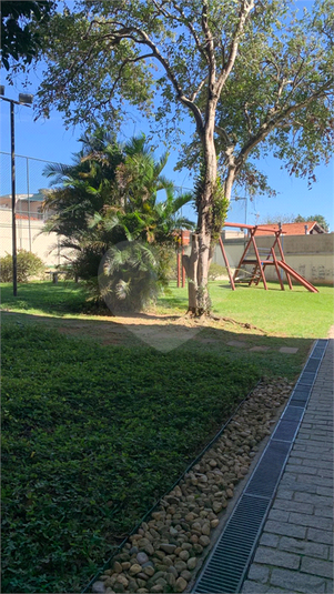 Foto REO1069737