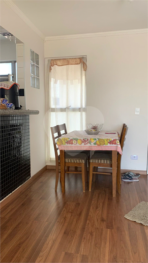 Foto REO1069737