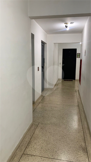 Foto REO1069737