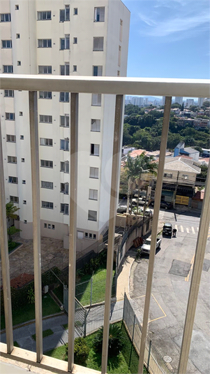 Foto REO1069737