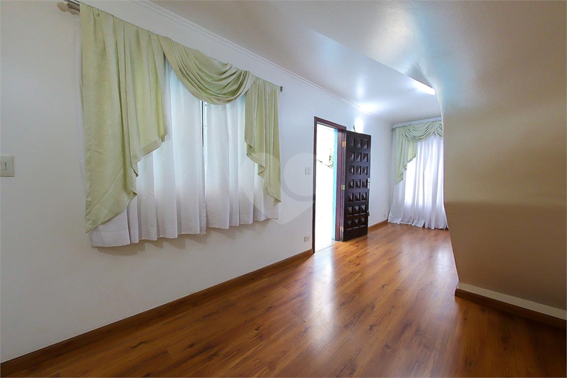 Foto REO1069738