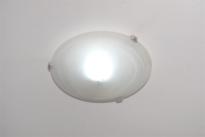 Foto REO1069751