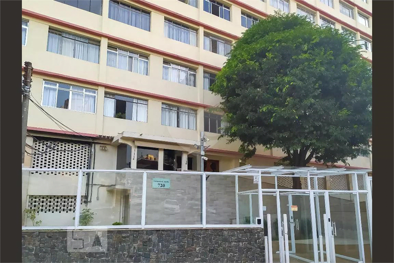 Foto REO1069761