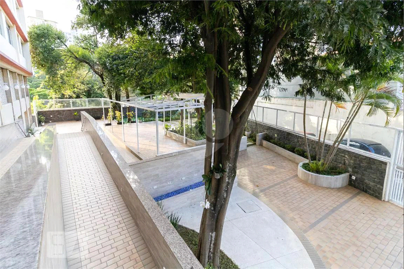 Foto REO1069761