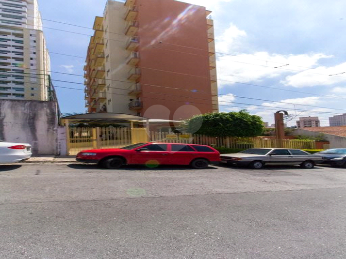 Foto REO1069766