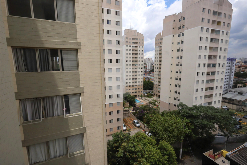Foto REO1069771