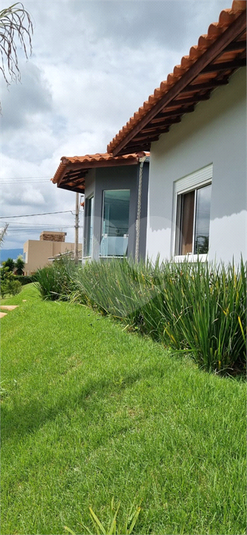 Foto REO1069775