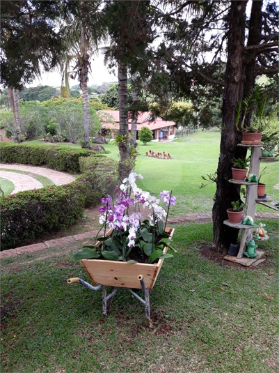 Foto REO1069778
