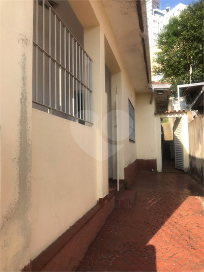 Foto REO1069786