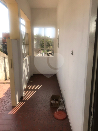 Foto REO1069786