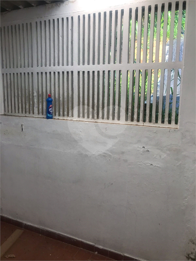 Foto REO1069786