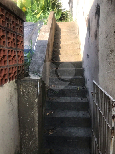 Foto REO1069786