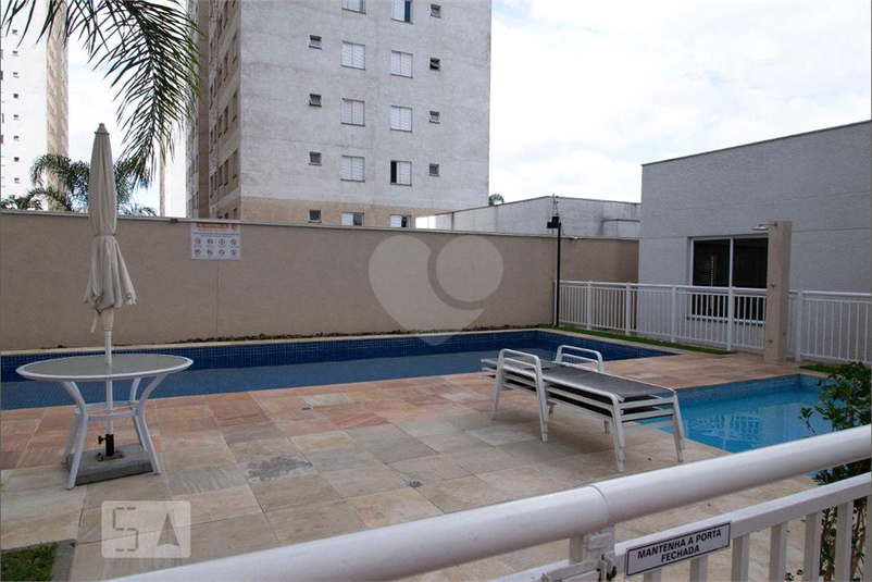 Foto REO1069788