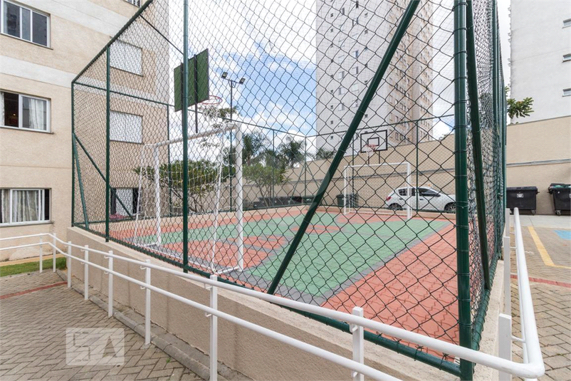 Foto REO1069788