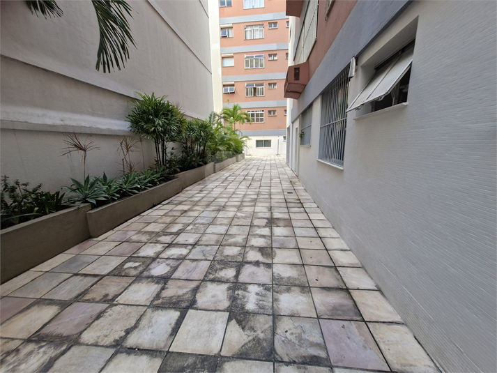 Foto REO1069805