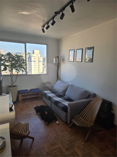 Foto REO1069807