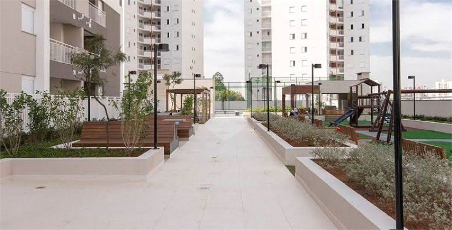 Foto REO1069821