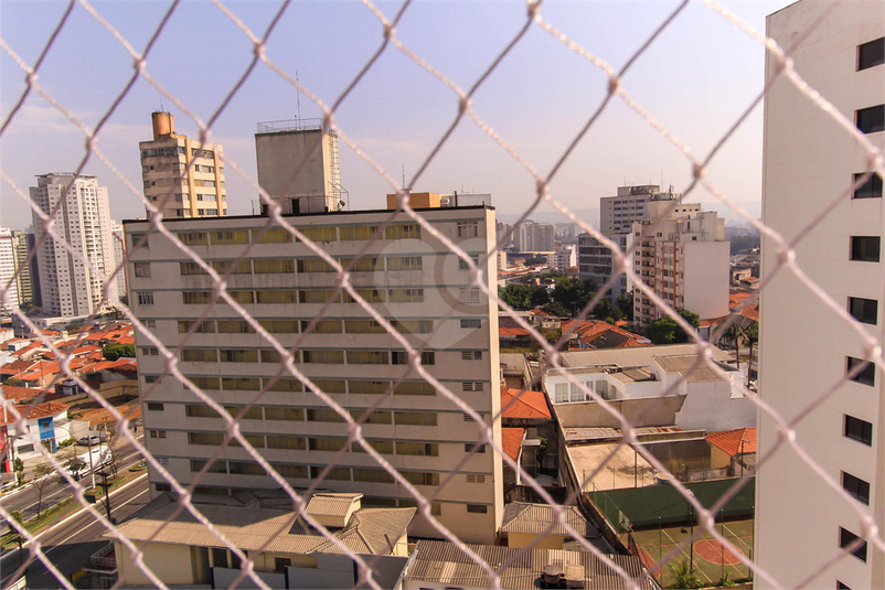 Foto REO1069842