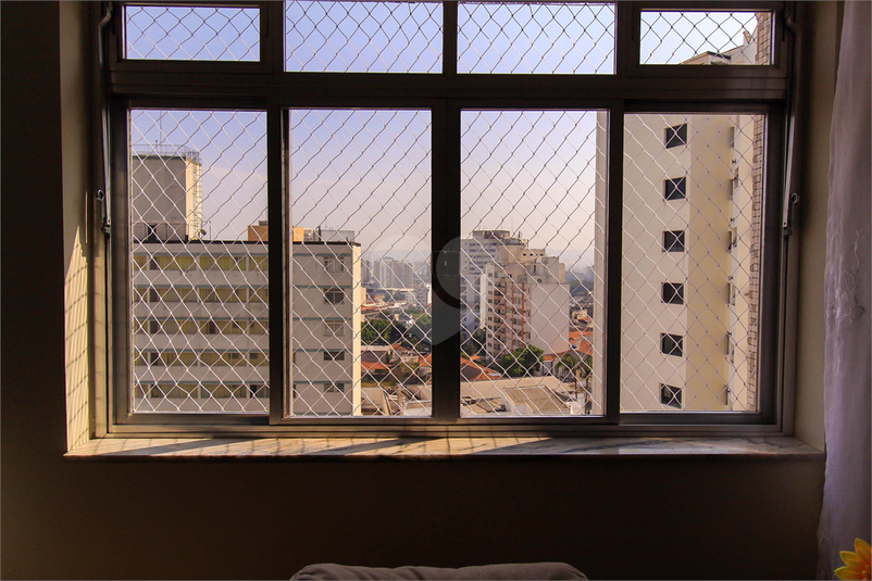Foto REO1069842