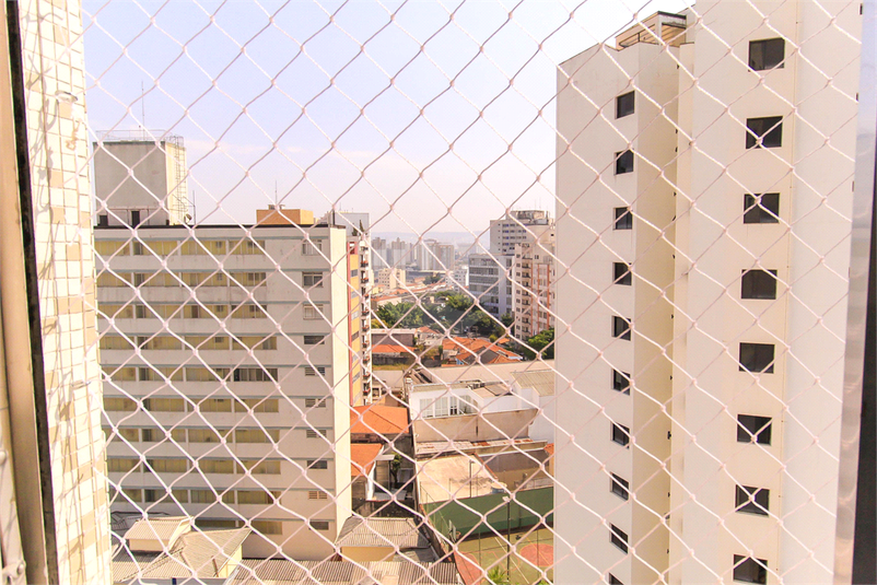 Foto REO1069842