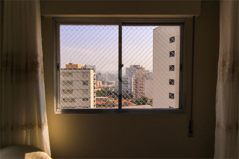 Foto REO1069842